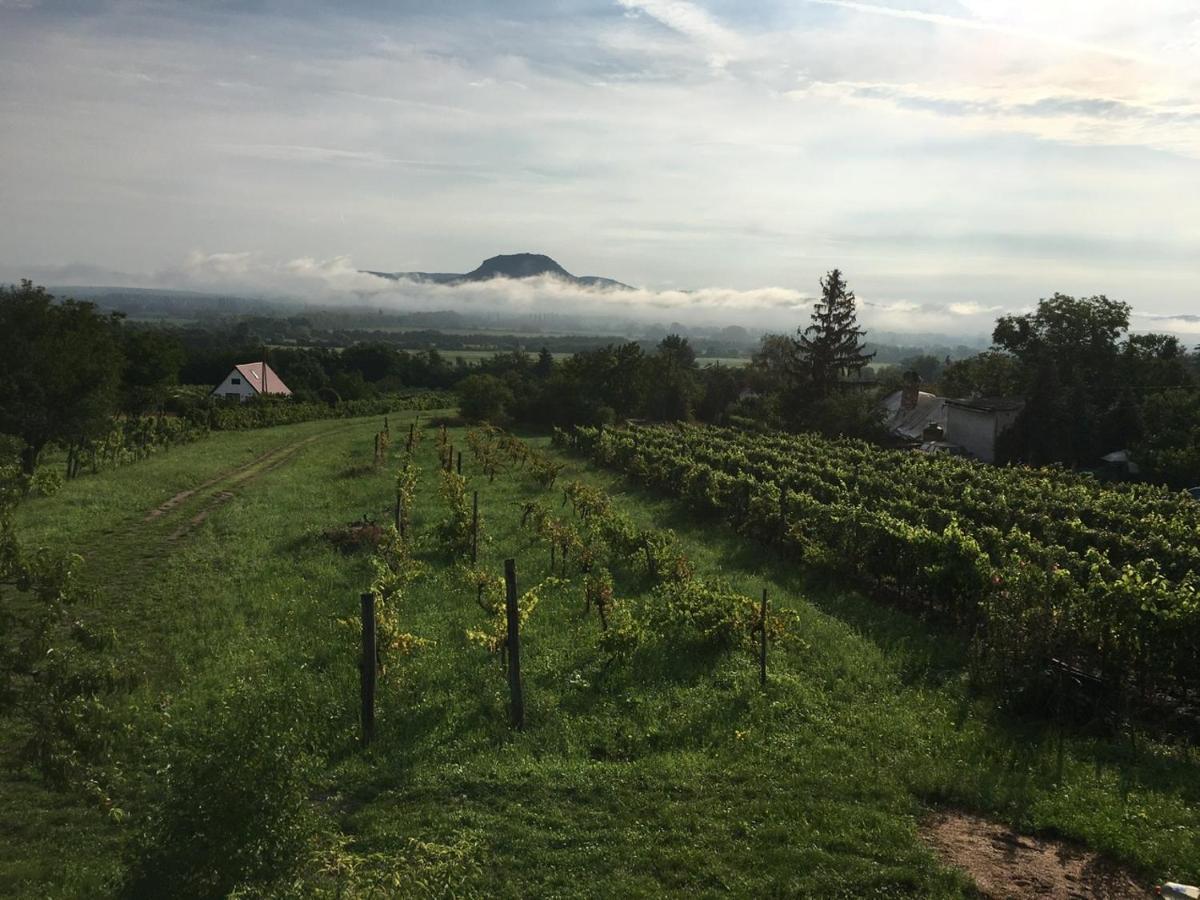 Villa Ágnes almái Ágnes apples Kisapati Esterno foto