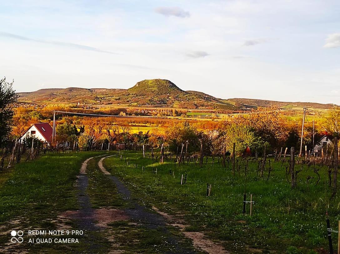 Villa Ágnes almái Ágnes apples Kisapati Esterno foto